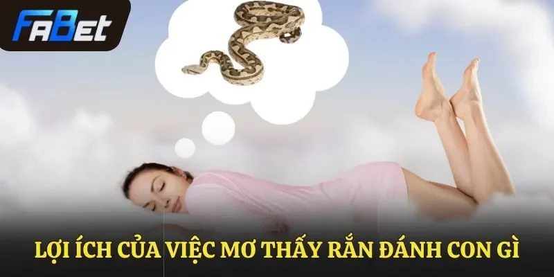 Lợi ích của việc mơ thấy rắn đánh con gì