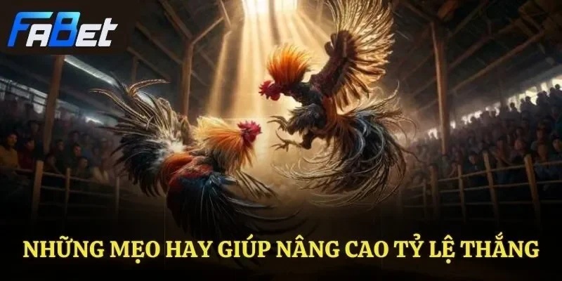Những mẹo hay giúp nâng cao tỷ lệ thắng